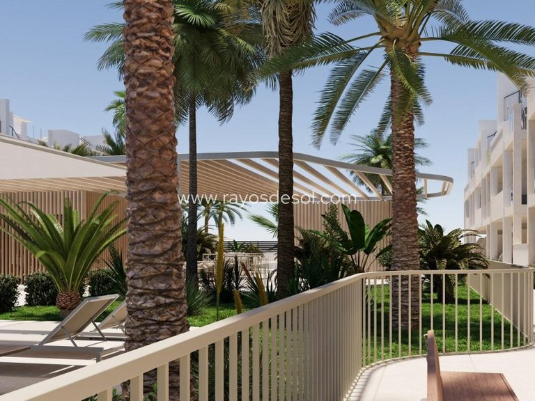 Apartment for Sale in San Cayetano, Murcia 16