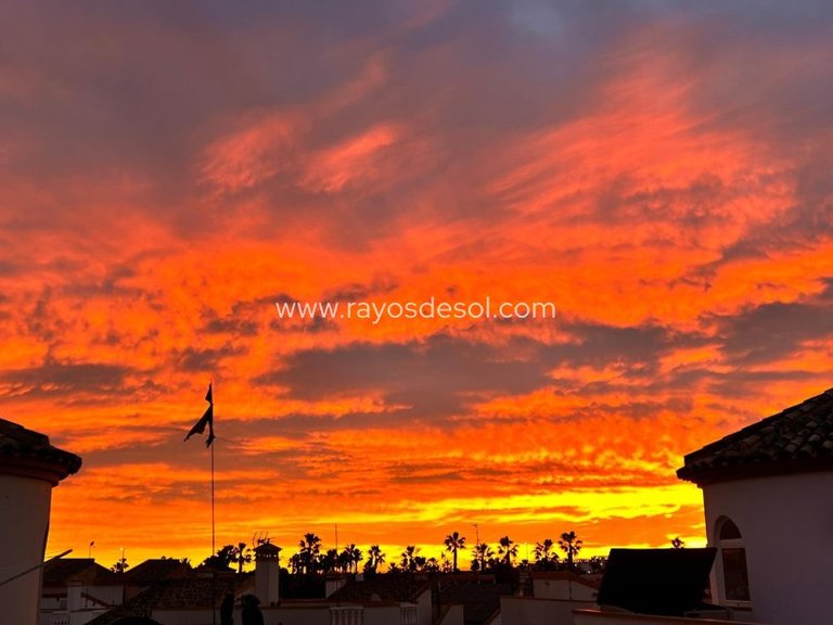 Villa for Sale in Guardamar Del Segura, Alicante 31