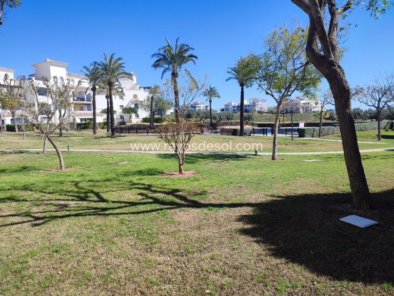Apartment for Sale in Hacienda Riquelme Golf Resort, Murcia 29