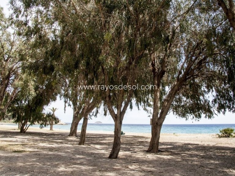 Apartment for Sale in Villajoyosa, Alicante 12