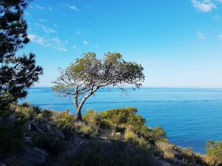 Apartment for Sale in Villajoyosa, Alicante 15