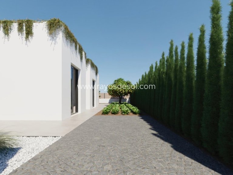 Villa for Sale in Fuente Álamo, Murcia 9