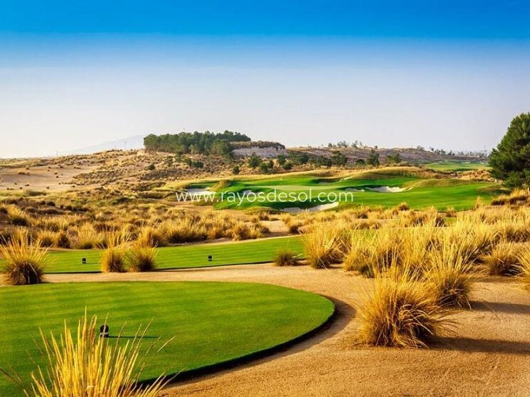 Villa for Sale in Alhama De Murcia, Murcia 19
