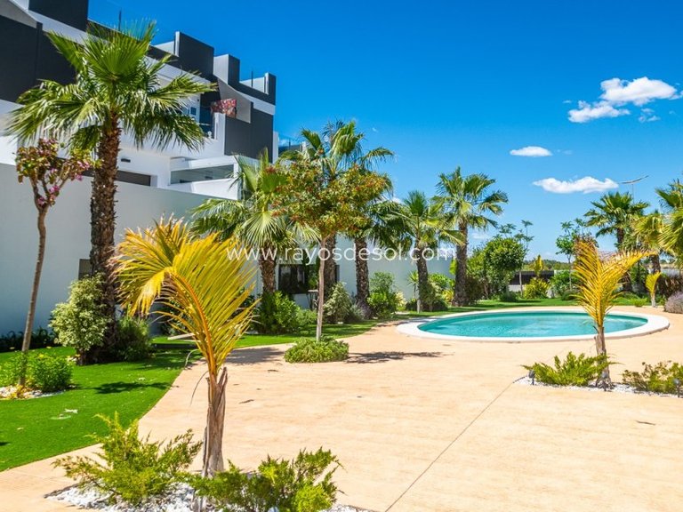 Apartment for Sale in Torrevieja, Alicante 46