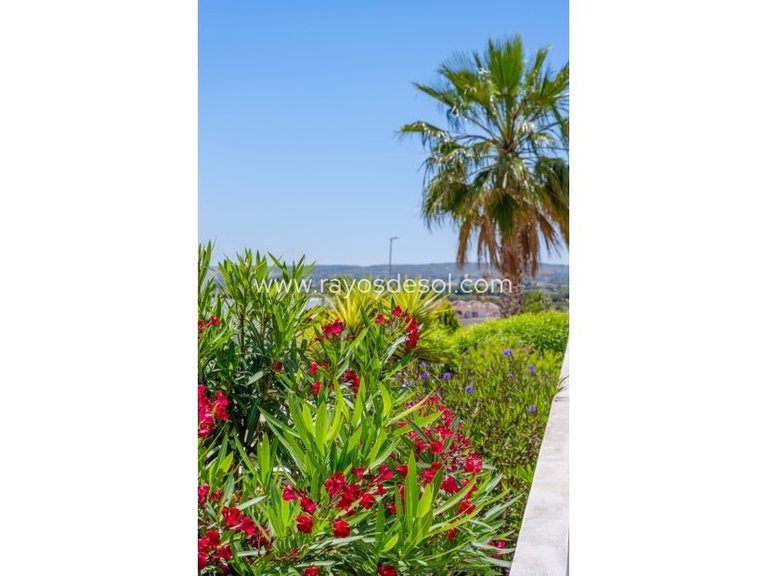 Villa for Sale in La Marina, Alicante 37