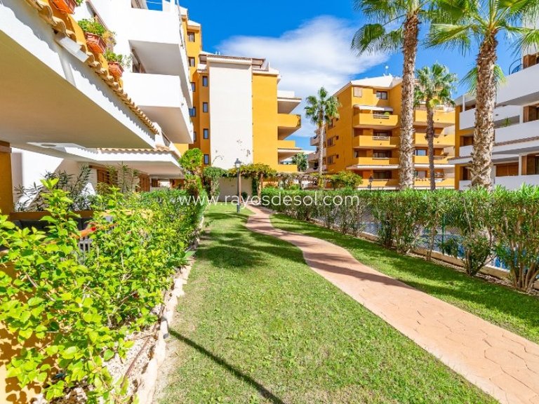 Apartment for Sale in Torrevieja, Alicante 36