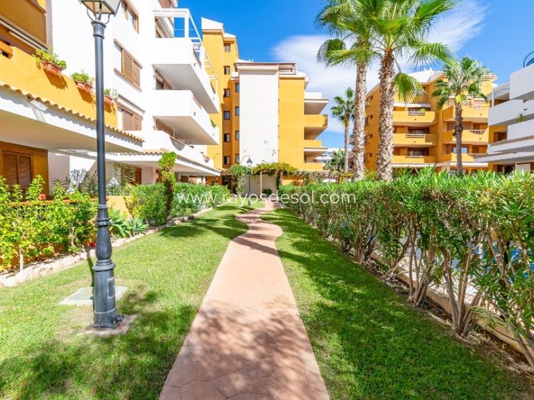 Apartment for Sale in Torrevieja, Alicante 37