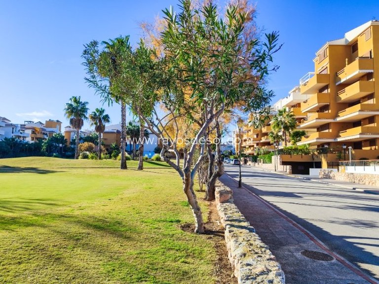 Apartment for Sale in Torrevieja, Alicante 45