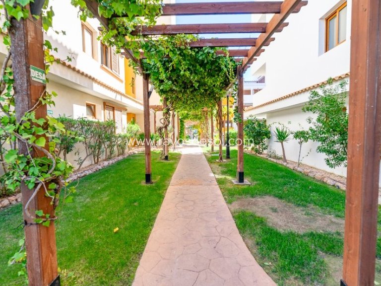 Apartment for Sale in Torrevieja, Alicante 49
