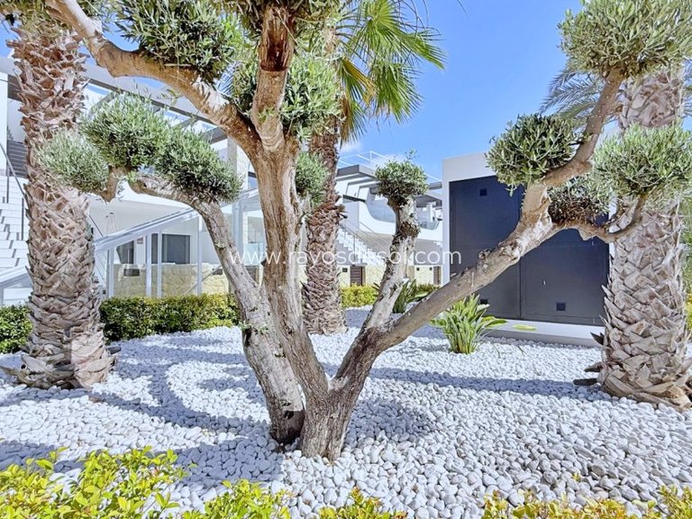 Penthouse for Sale in Orihuela Costa, Alicante 36