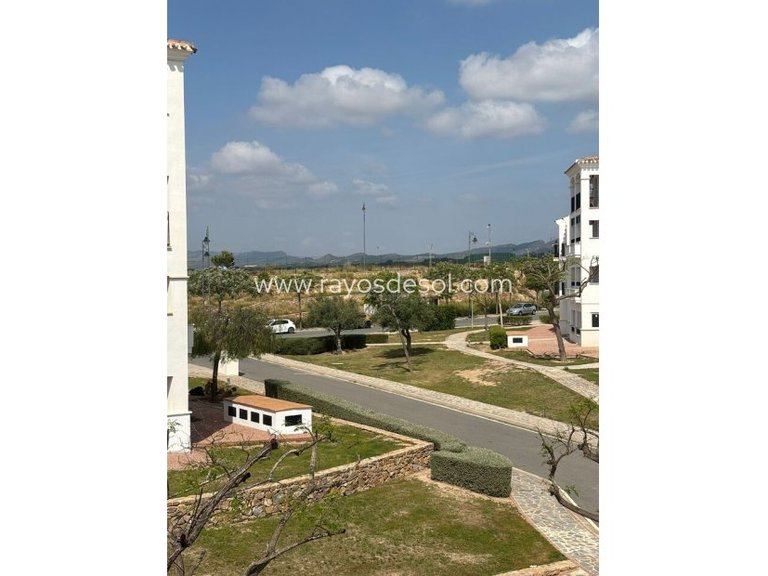 Apartment for Sale in Hacienda Riquelme Golf Resort, Murcia 31