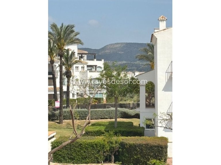 Apartment for Sale in Hacienda Riquelme Golf Resort, Murcia 35