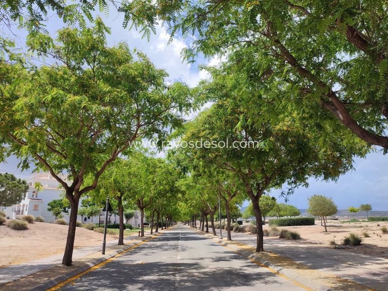 Apartment for Sale in Hacienda Riquelme Golf Resort, Murcia 34