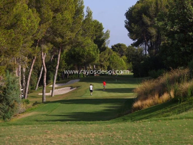 Villa for Sale in Las Colinas Golf Resort, Alicante 19