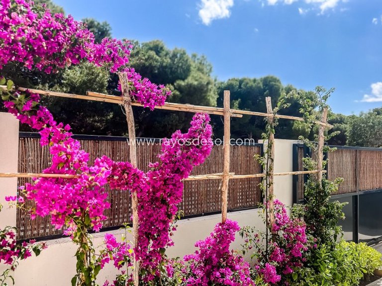 Apartment for Sale in San Javier, Murcia 30
