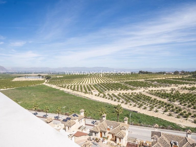 Villa for Sale in Algorfa, Alicante 25