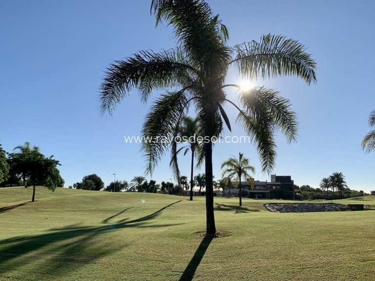 Apartment for Sale in Roda Golf Resort, Murcia 24