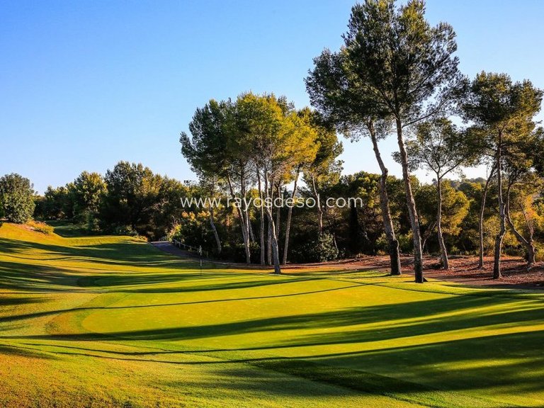 Villa for Sale in Las Colinas Golf Resort, Alicante 15