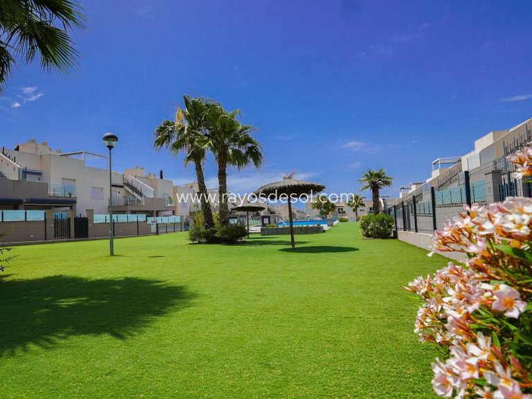 Apartment for Sale in Torrevieja, Alicante 45