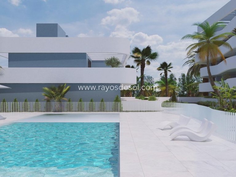 Villa for Sale in Guardamar Del Segura, Alicante 10