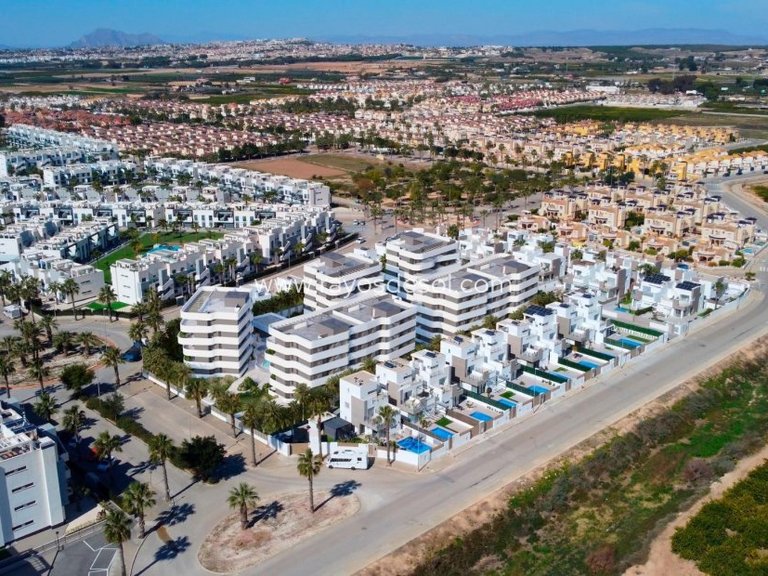 Villa for Sale in Guardamar Del Segura, Alicante 40