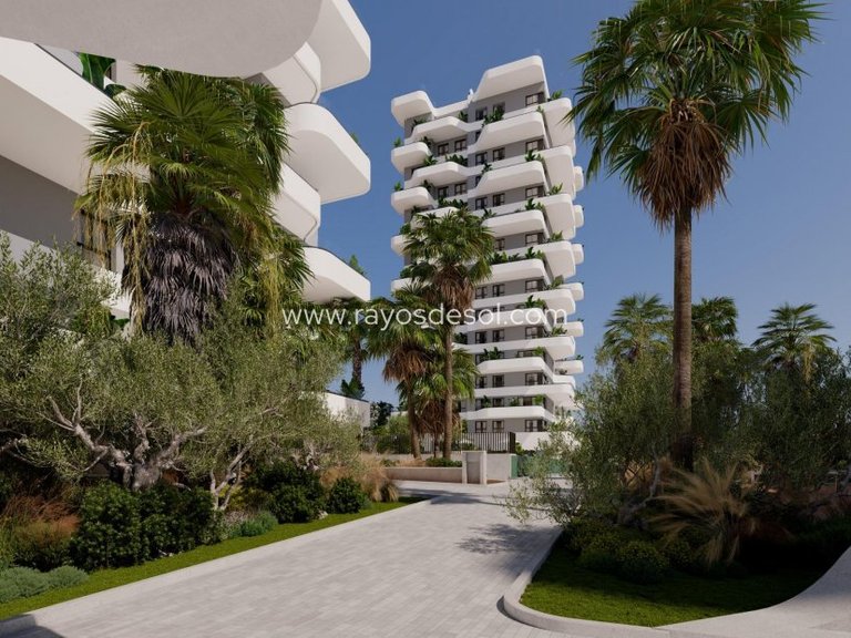 Apartment for Sale in Calpe, Alicante 8