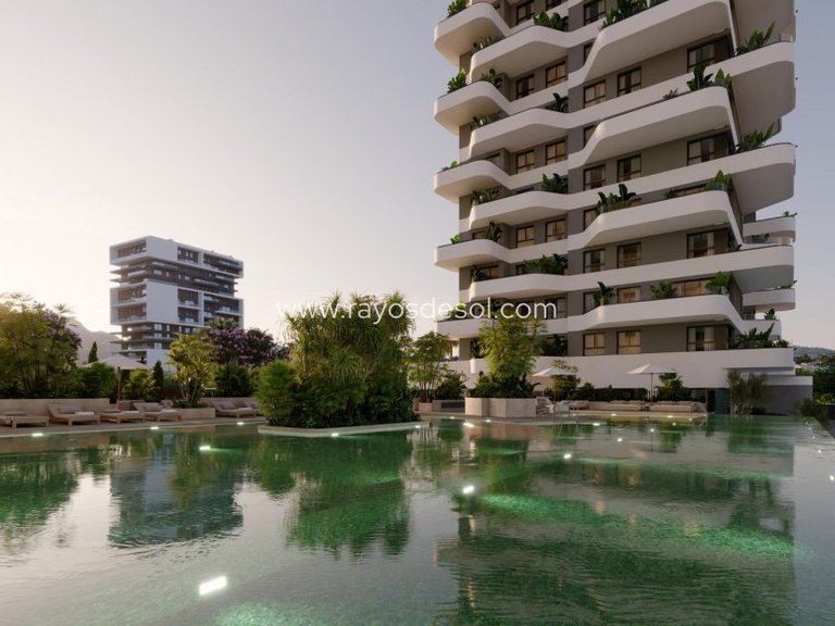 Apartment for Sale in Calpe, Alicante 14