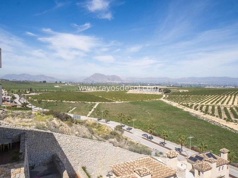 Villa for Sale in Algorfa, Alicante 32
