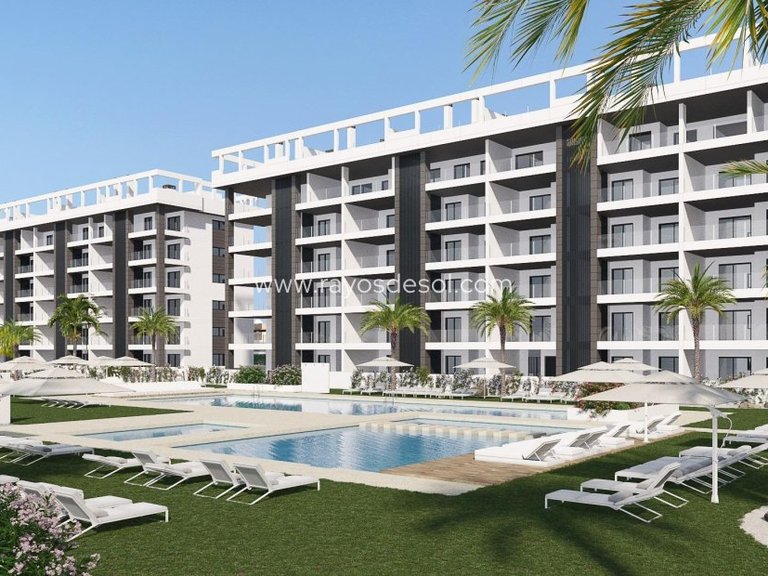 Apartment for Sale in Torrevieja, Alicante 5