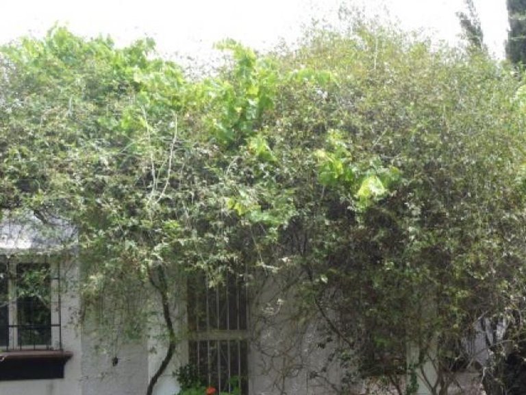 Plot for Sale in Marbella, Malaga 16