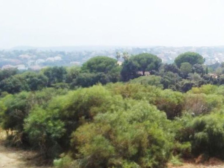 Plot for Sale in Sotogrande, Cadiz 18