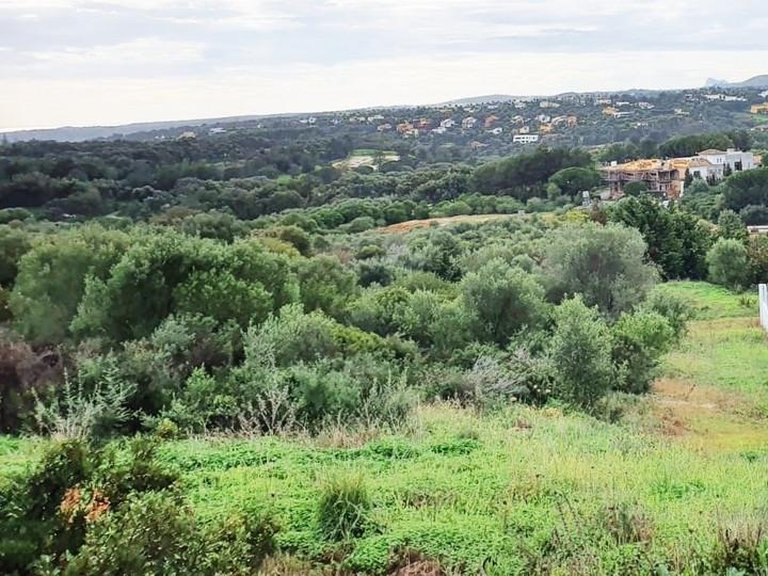 Plot for Sale in Sotogrande, Cadiz 9