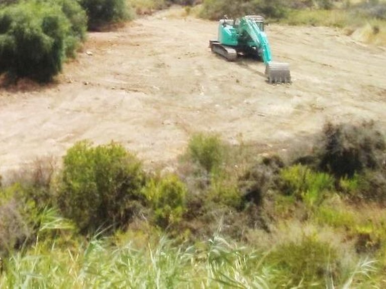 Plot for Sale in Sotogrande, Cadiz 9