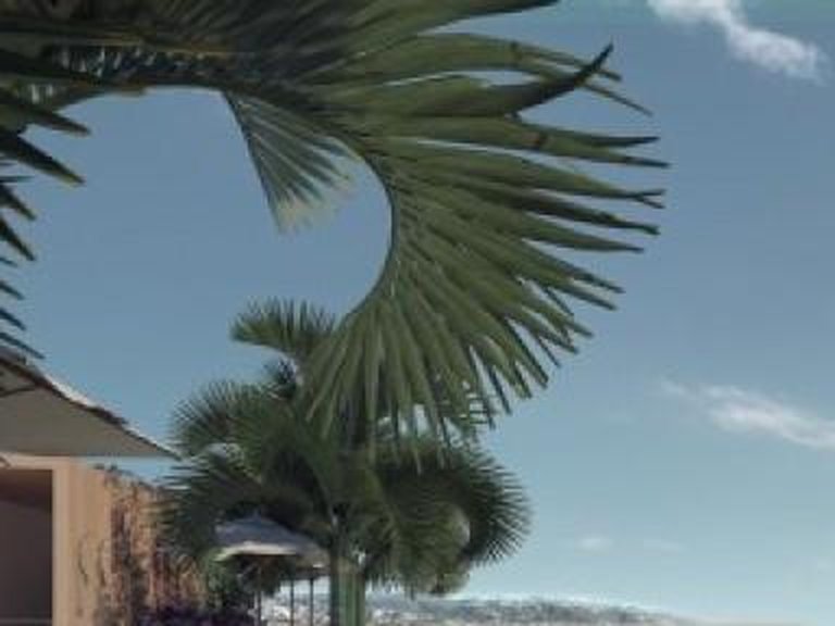 Apartment for Sale in Estepona, Malaga 20