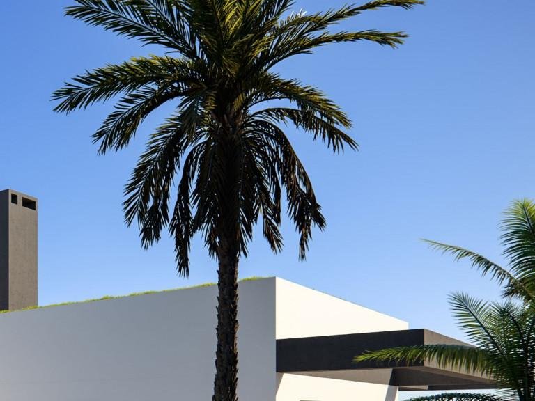 Villa for Sale in Marbella, Malaga 10