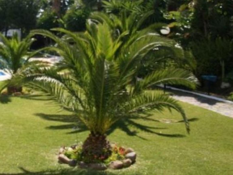 Apartment for Sale in Marbella, Malaga 11