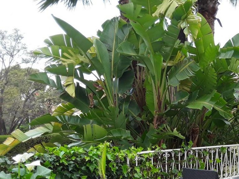 Apartment for Sale in Marbella, Malaga 17