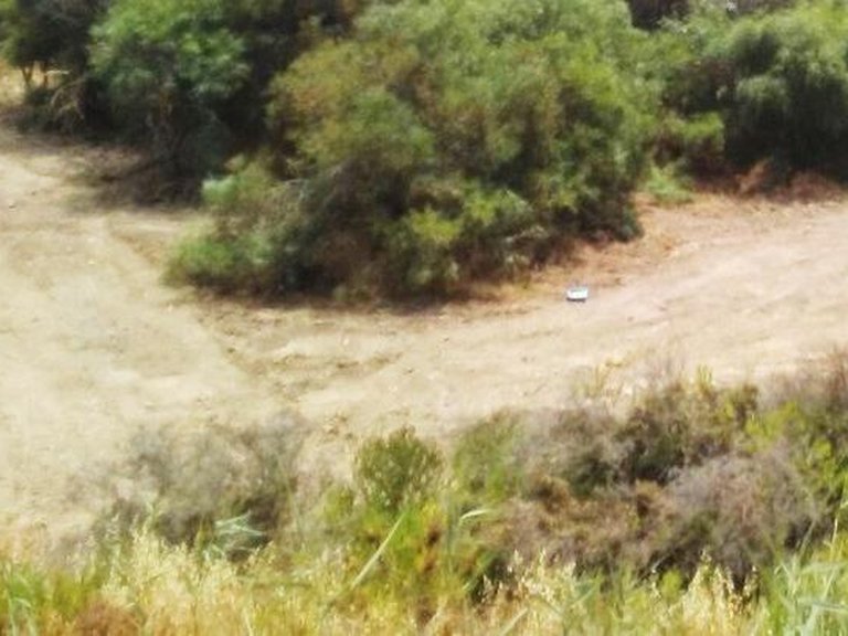 Plot for Sale in Sotogrande, Cadiz 10