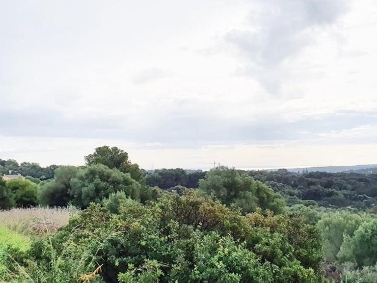 Plot for Sale in Sotogrande, Cadiz 17