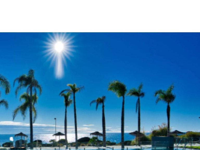 Apartment for Sale in Marbella, Malaga 13