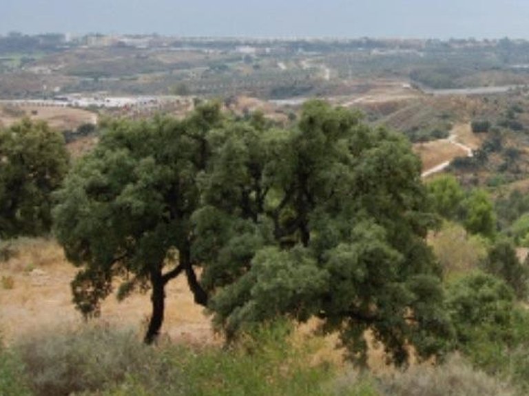 Plot for Sale in Marbella, Malaga 23