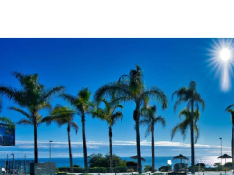 Apartment for Sale in Marbella, Malaga 12