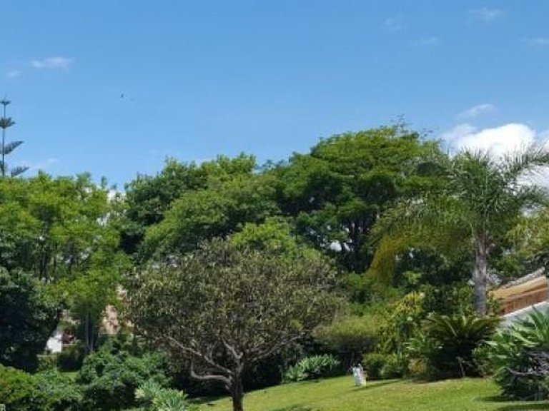 Apartment for Sale in Marbella, Malaga 12