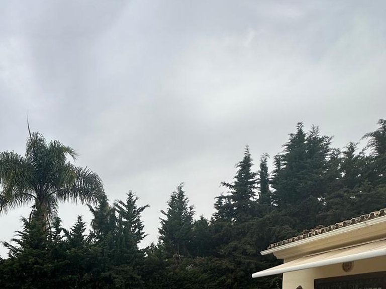 Villa for Rent in Marbella, Malaga 12