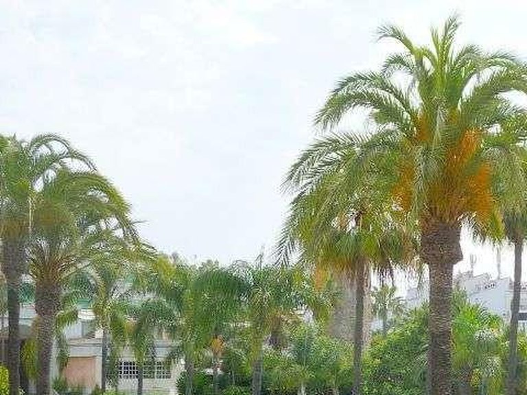 Apartment for Sale in Marbella, Malaga 13