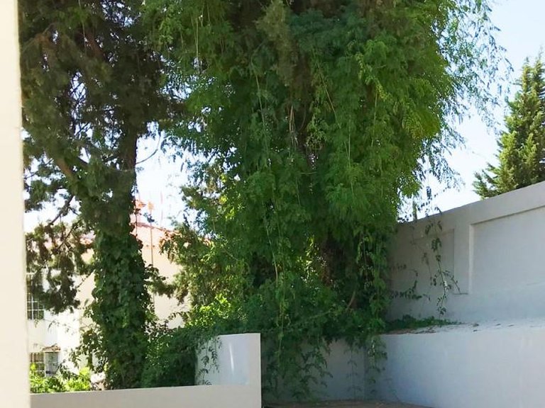Apartment for Sale in Marbella, Malaga 21