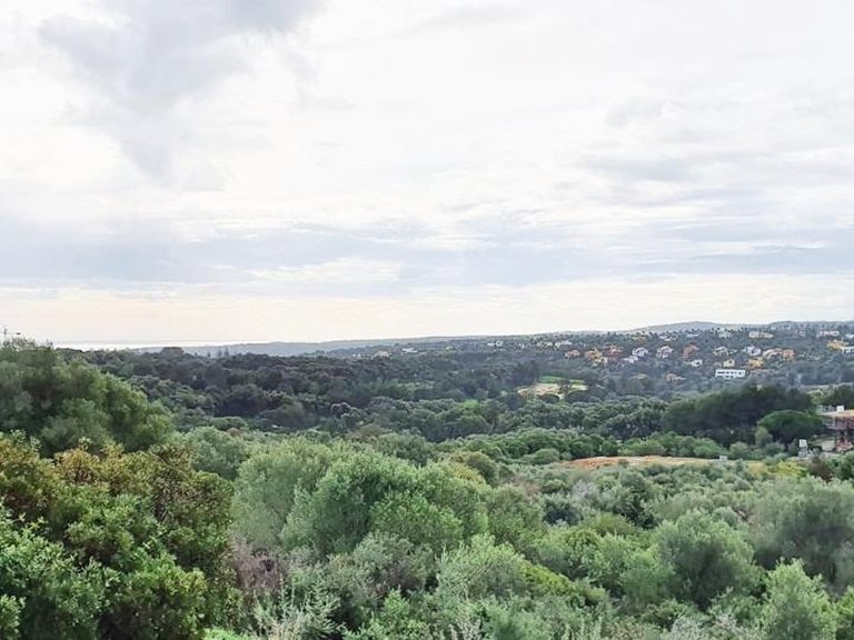 Plot for Sale in Sotogrande, Cadiz 19