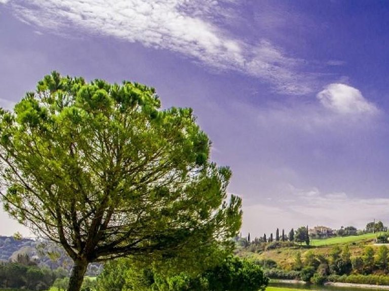 Apartment for Sale in Benahavis, Malaga 16