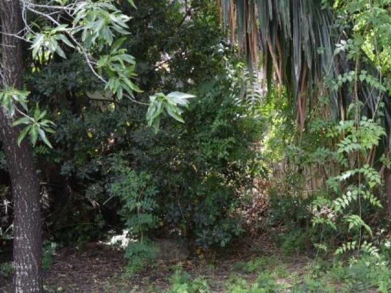 Plot for Sale in Marbella, Malaga 31