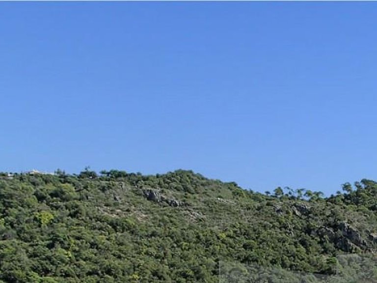 Apartment for Sale in Benahavis, Malaga 20